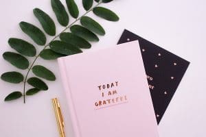 gratitude journal for lifting vibration