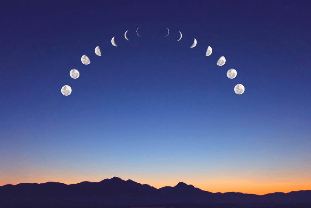 the lunar phases
